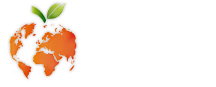 煙臺網站建設-金蘋果網絡